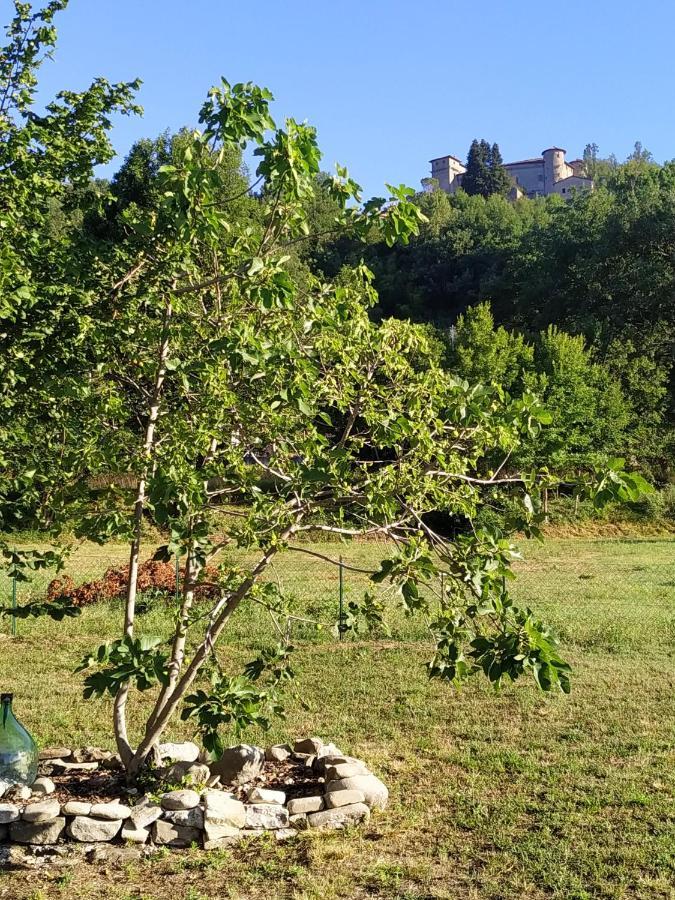 Il Giardino di Marzo Guest House Monti di Licciana Nardi Esterno foto